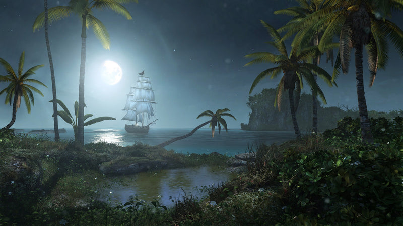 Assassin’s Creed IV Black Flag™ PS4 DIGITAL