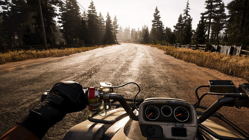 Far Cry 5 PS4 DIGITAL